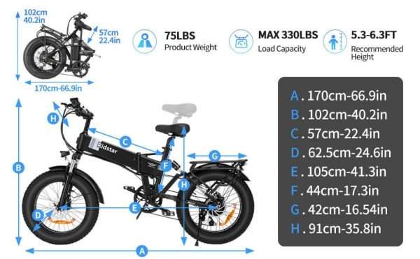 ridstar electric bike