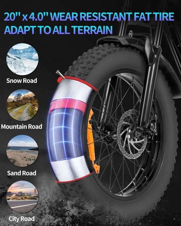 Ridstar Q20 Lite Electric Bike For Adults 1000W Motor 48V 15AH Battery